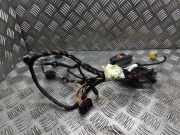 Kabel Tür VW Passat B6 CC (357) 3C8971121CC