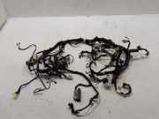 Kabelbaum Innenverkleidung NISSAN QASHQAI II (J11, J11_) 1.6 dCi 240104EF4D