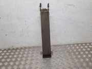 Kraftstoffkühler VW Sharan (7M) 7M0203571A