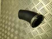 Luftansaugschlauch VW POLO (AW1, BZ1, AE1) 2.0 GTI 2Q0145838