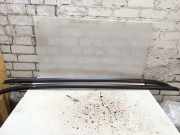 Dachreling links TOYOTA AURIS (_E18_) 1.4 D-4D (NDE180_)