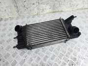 Ladeluftkühler NISSAN JUKE (F15) 1.5 dCi 144611KB2A