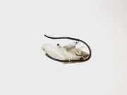 Fensterwaschtank HONDA CIVIC VIII Hatchback (FN, FK) 2.2 CTDi (FK3) 19141RSRE0