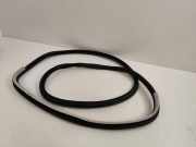 Türdichtung Renault Espace V (JR)