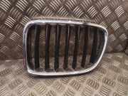 Gitter Grill vorne links BMW X1 (E84) xDrive 25 i 51112993305 51112993307