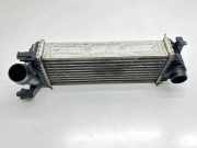 Ladeluftkühler RENAULT KANGOO Express (FW0/1_) 1.5 dCi 85 (FW0A, FW0B) Y5665002 0102183