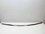 Windschutzscheibenverkleidung MERCEDES-BENZ SL (R230) 500 (230.475) A2307200978 2307200978