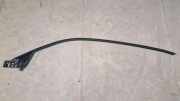 Dachleiste links BMW i3 (I01) s Electric 16081013 7453551