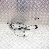 Kabelbaum Hinteren Parksensoren