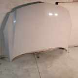 Motorhaube Opel Insignia A (G09)