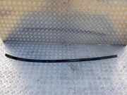 Dachleiste links BMW X6 (E71, E72) xDrive 30 d