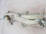 Dach SRS rechts NISSAN PRIMERA (P12) 1.9 dCi AXAV6028120368