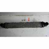 Ladeluftkühler PEUGEOT BIPPER (AA_) 1.4 HDi L8119001 51790623