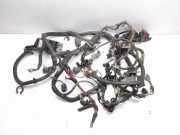 Motor Kabelbaum VOLVO V70 III (BW) 2.5 T 31266948