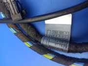 Kabel der vorderen linken Tür BMW 7 (E65, E66, E67) 730 Ld 1Q673111 6913125