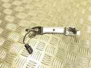 Türaußengriff hinten rechts RENAULT MEGANE II Estate (KM0/1_) 1.9 dCi 8200289825