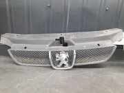 Kühlergrill komplett Peugeot 406 Coupe (8C) 9631250277