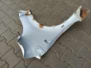 Kotflügel vorne links