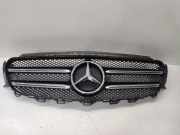 Vorderer oberer Gitter MERCEDES-BENZ E (W213) E 220 d (213.004) R17932