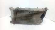 Ladeluftkühler Audi A8 (4E) 4E0146806D