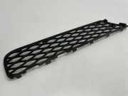 Gitter vorne unten MERCEDES-BENZ R (W251, V251) R 320 CDI 4-matic (251.022, 251.122)