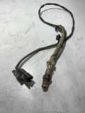 Sauerstoffsensor (Lambdasensor) VOLVO XC70 CROSS COUNTRY 2.5 T XC AWD 8670276