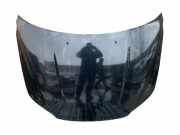 Motorhaube VOLVO S80 II (AS) D5