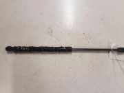 Heckklappe Gasdruckfeder rechts RENAULT MEGANE III Coupe (DZ0/1_) 1.5 dCi (DZ0A) 2472N0F30500N