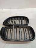 Gitter Grill vorne links BMW 3 Compact (E46) 320 td 9090