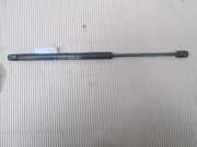 Heckklappendämpfer links Fiat Punto (188)