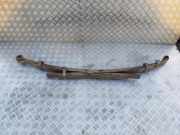 Blattfeder hinten links