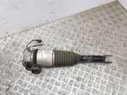 Stoßdämpfer links hinten Bentley Continental Flying Spur (3W) 3W5616001B