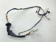 Kabel der vorderen linken Tür TOYOTA RAV 4 III (_A3_) 2.2 D 4WD (ALA30_) 8215242800