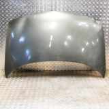 Motorhaube CHEVROLET TRANS SPORT 3.4 10363250