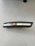 Blinker vorne links VW PASSAT Variant B6 (3C5) 2.0 TDI 3C0953041E