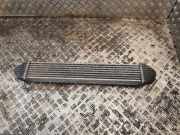 Ladeluftkühler MERCEDES-BENZ A (W169) A 160 CDI (169.006, 169.306) 1695000000
