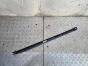 Andere Motorraumteile BMW 1 Cabrio (E88) 120 d DS7167644 DS716764403