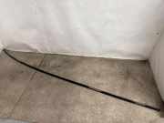 Dachleiste links BMW X7 (G07) xDrive 40 i 7416904