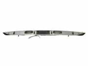 Gehäuse für Kennzeichenleuchte Volvo V50 (545) 30699682