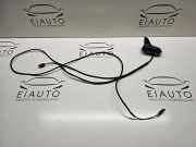 Antenne AUDI Q7 (4L) 4.2 FSI quattro 7295167