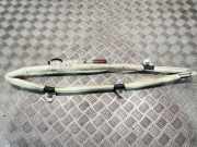 Dach SRS rechts BMW 3 (F30, F80) 330 d xDrive 7221046