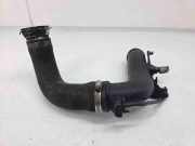 Kraftstofffiltergehäuse Toyota Corolla Verso (R1) 173620R010