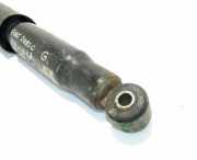 Stoßdämpfer hinten rechts FIAT DOBLO MPV (119_, 223_) 1.3 JTD 16V