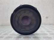 Türlautsprecher vorne links