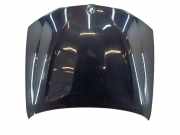Motorhaube BMW X3 (F25)