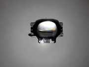 Steuergerät Beleuchtung Renault Kadjar (HA, HL) 19031201