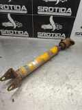 Stoßdämpfer hinten links MERCEDES-BENZ M (W164) ML 350 CDI 4-matic (164.122) 24124379