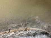 Kotflügel vorne links SKODA ROOMSTER (5J) 1.9 TDI