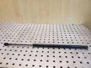 Heckklappe Gasdruckfeder links TOYOTA COROLLA Verso (ZER_, ZZE12_, R1_) 1.8 (ZNR11_) 689500F011