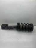 Stoßdämpfer vorne links BMW X5 (E53) 3.0 i 6754341